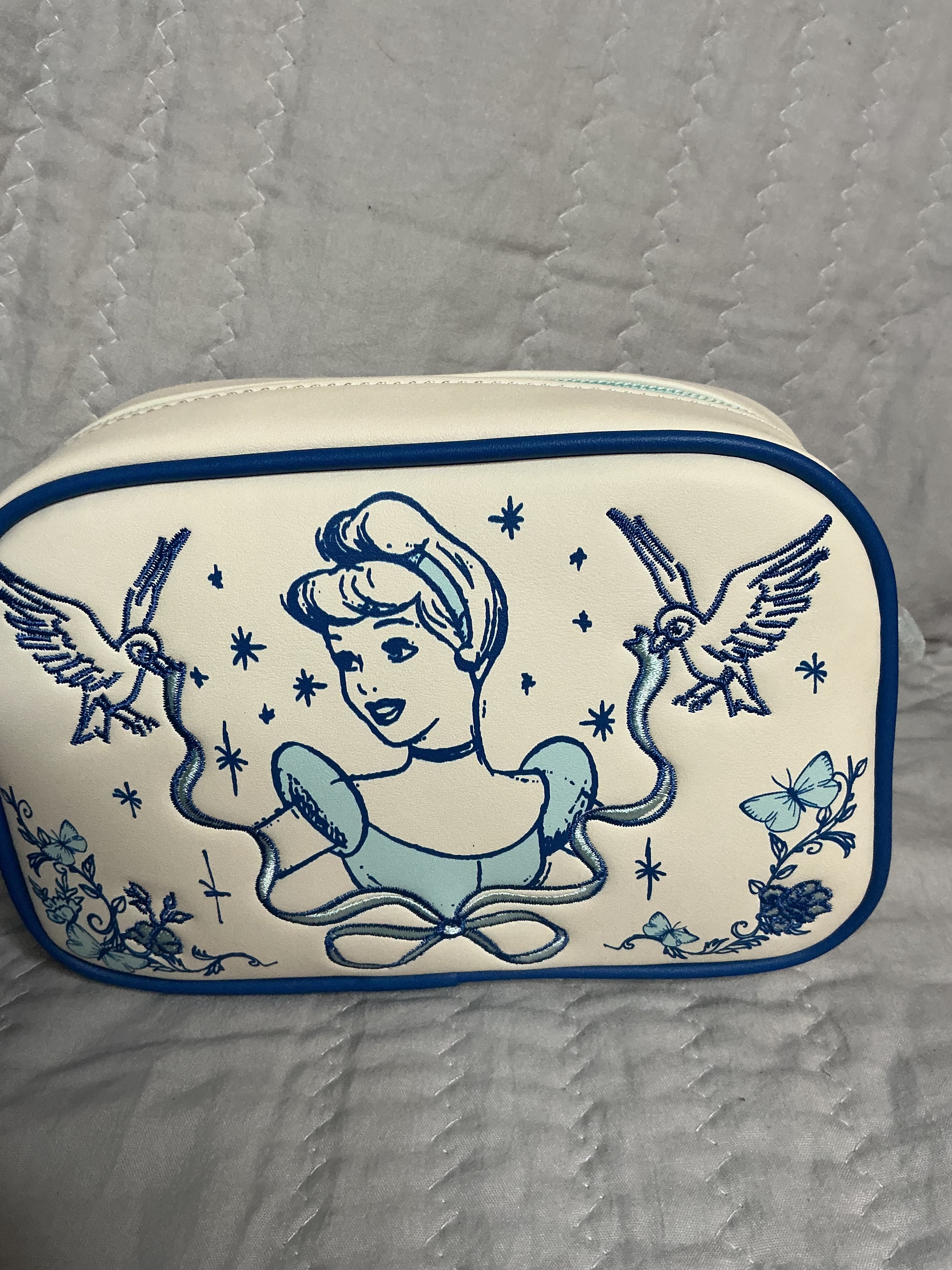 Cinderella Sketchy Make Up Bag